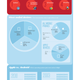 Illustration for article titled How In-Flight WiFi Works And Why It Should Get Better
